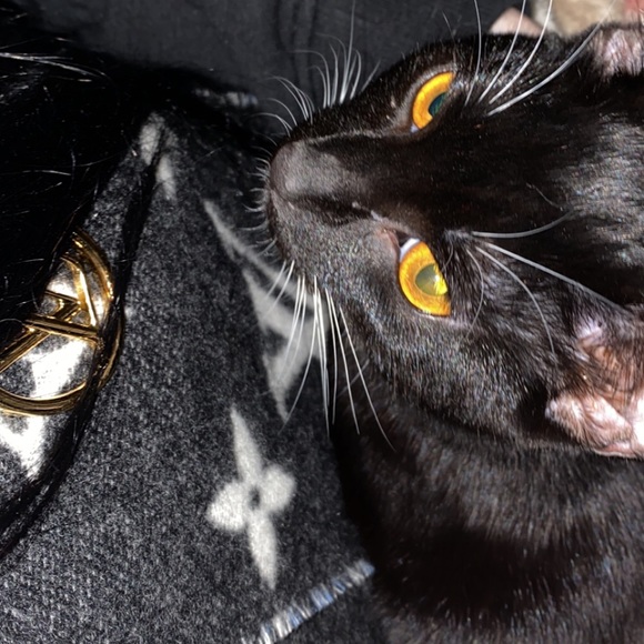 Back on posh.. starting up all new!!Miss you guys - Picture 5 of 7